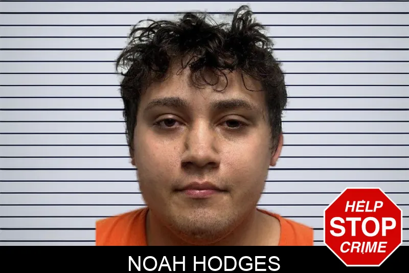 Noah Hodges mugshot