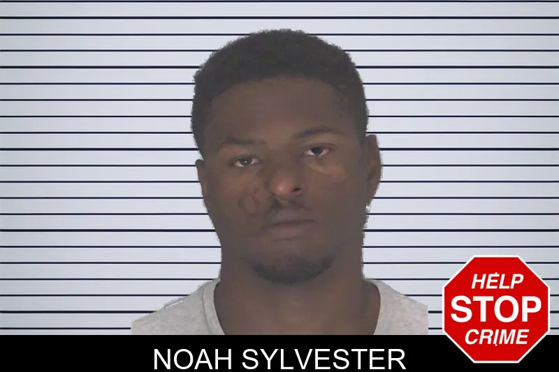 Noah Sylvester mugshot
