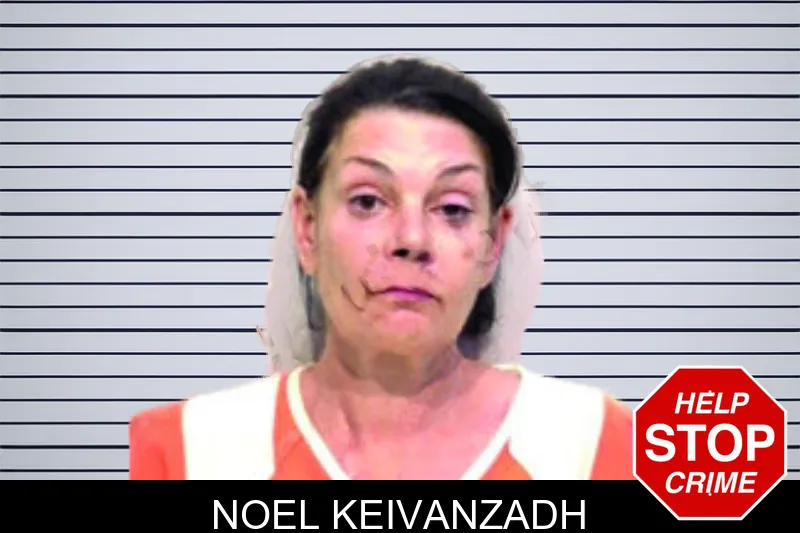 Noel Keivanzadh mugshot