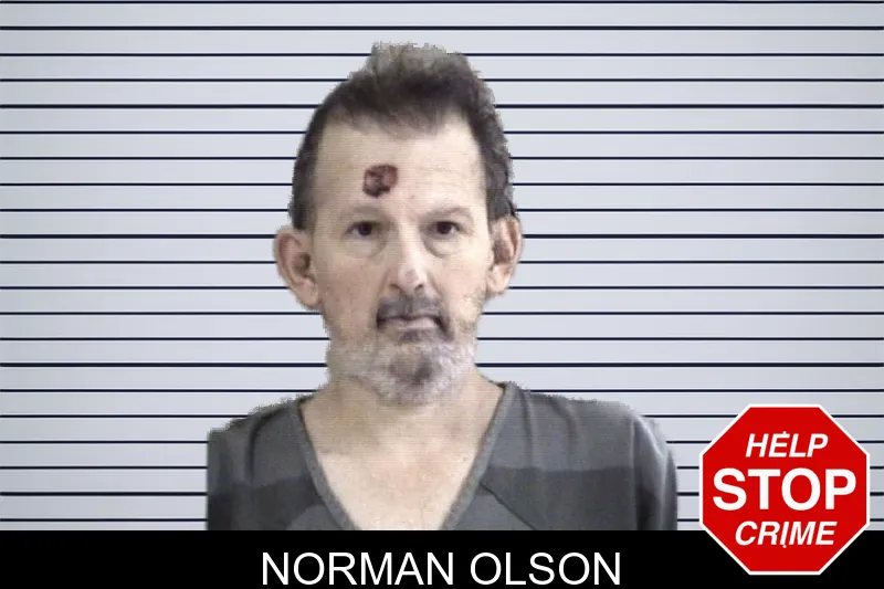 Norman Olson mugshot – Whitfield County , Georgia Norman Olson mugshot