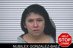 Nubilex Gonzalez-Baez mugshot