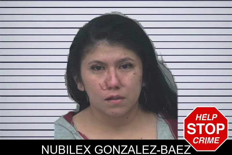 Nubilex Gonzalez-Baez mugshot