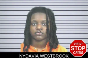 Nydavia Westbrook mugshot