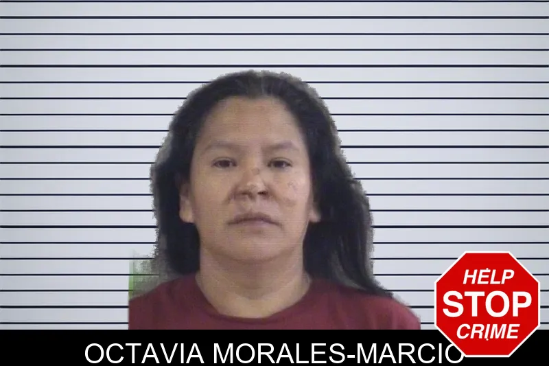 Octavia Morales-Marcio mugshot – Whitfield County , Georgia Octavia Morales-Marcio mugshot