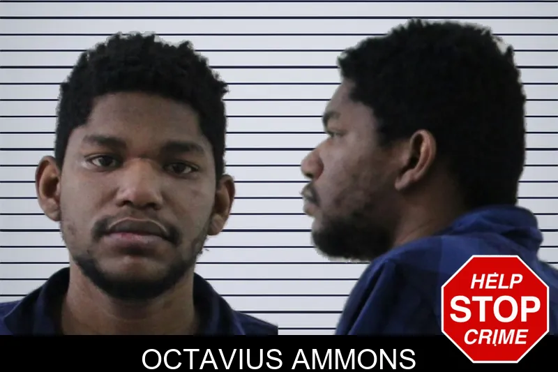 Octavius Ammons mugshot
