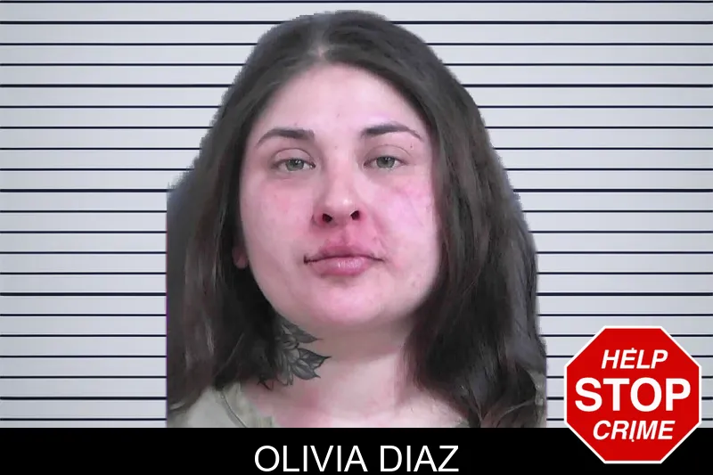 Olivia Diaz mugshot – Gordon County , Georgia Olivia Diaz mugshot