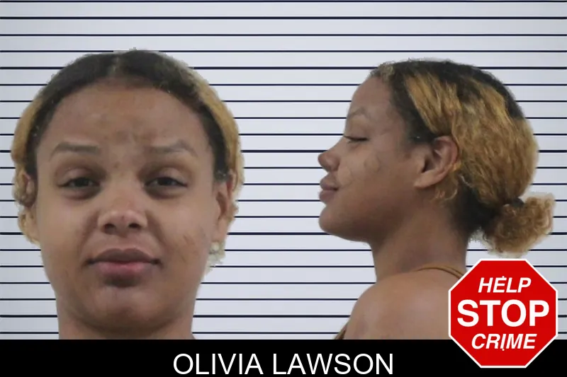 Olivia Lawson mugshot