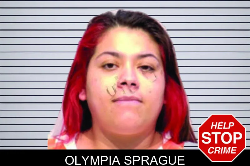 Olympia Sprague mugshot – Bartow County , Georgia Olympia Sprague mugshot
