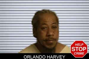Orlando Harvey mugshot