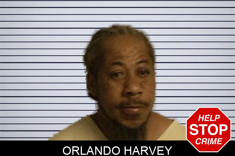 Orlando Harvey mugshot