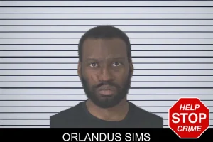 Orlandus Sims mugshot