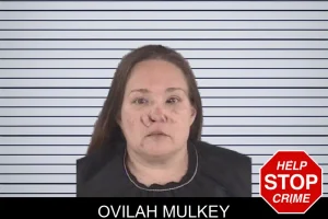 Ovilah Mulkey mugshot