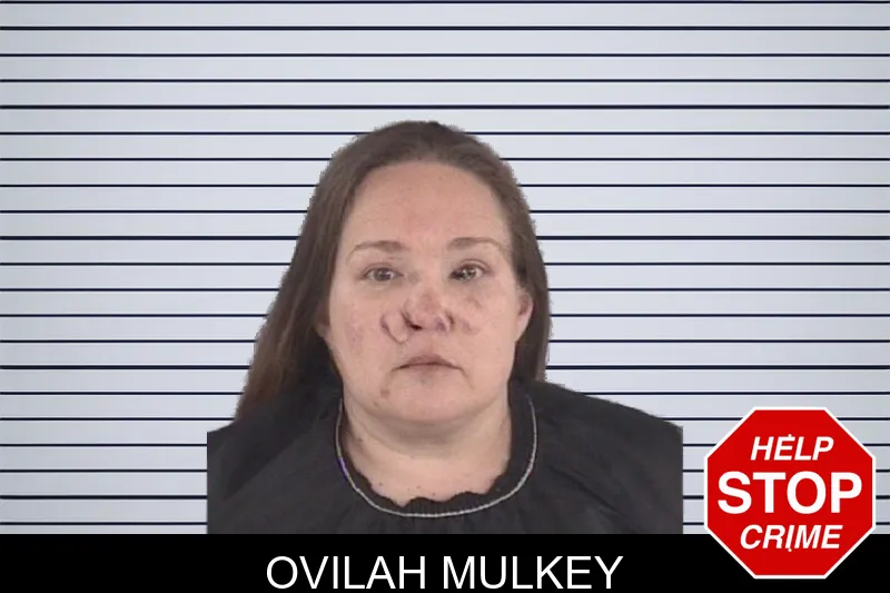 Ovilah Mulkey mugshot