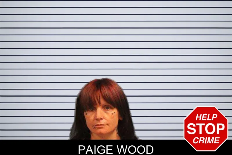 Paige Wood mugshot