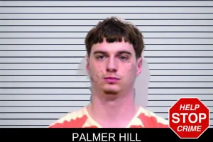 Palmer Hill mugshot