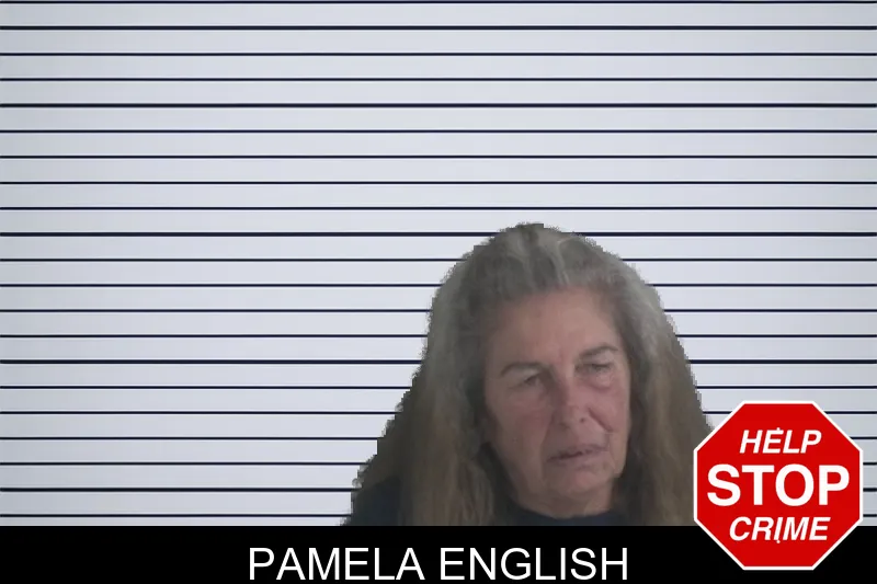 Pamela English mugshot