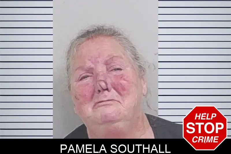 Pamela Southall mugshot – Lowndes County , Georgia Pamela Southall mugshot