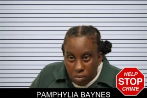 Pamphylia Baynes mugshot
