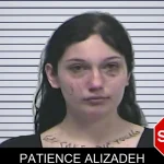 Patience Alizadeh mugshot