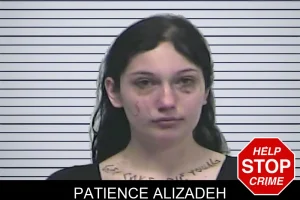 Patience Alizadeh mugshot