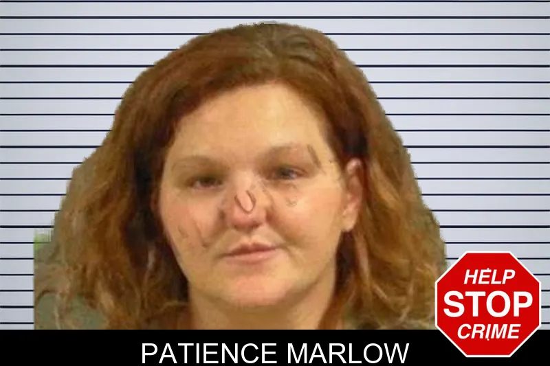 Patience Marlow mugshot – Upson County , Georgia Patience Marlow mugshot