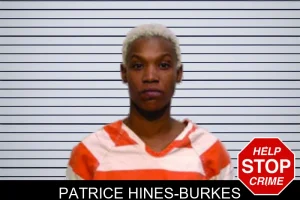 Patrice Hines-Burkes mugshot