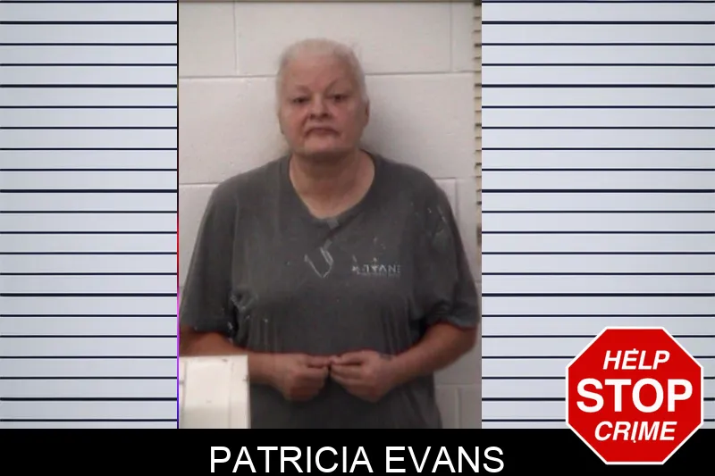 Patricia Evans mugshot – Emanuel County , Georgia Patricia Evans mugshot