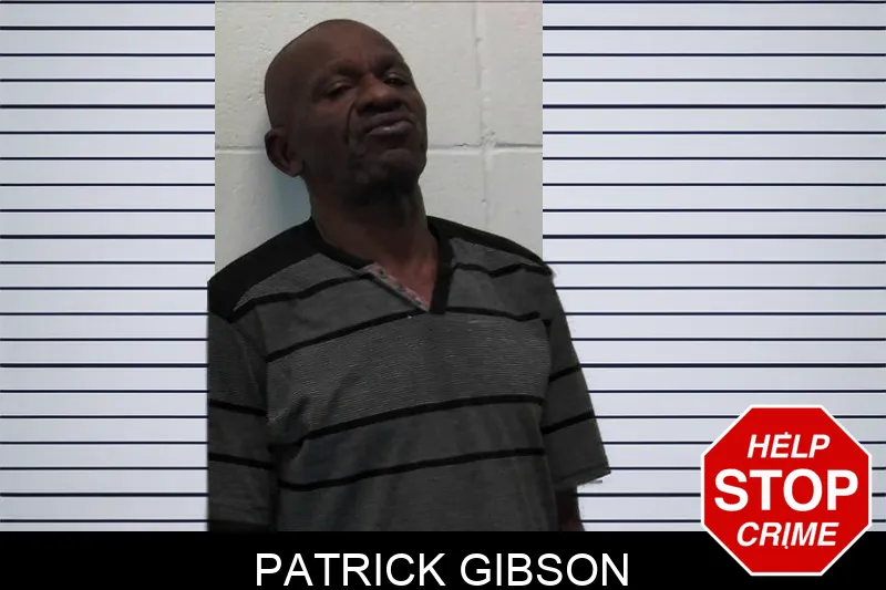 Patrick Gibson mugshot