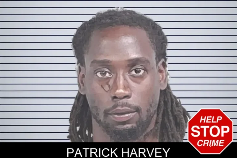 Patrick Harvey