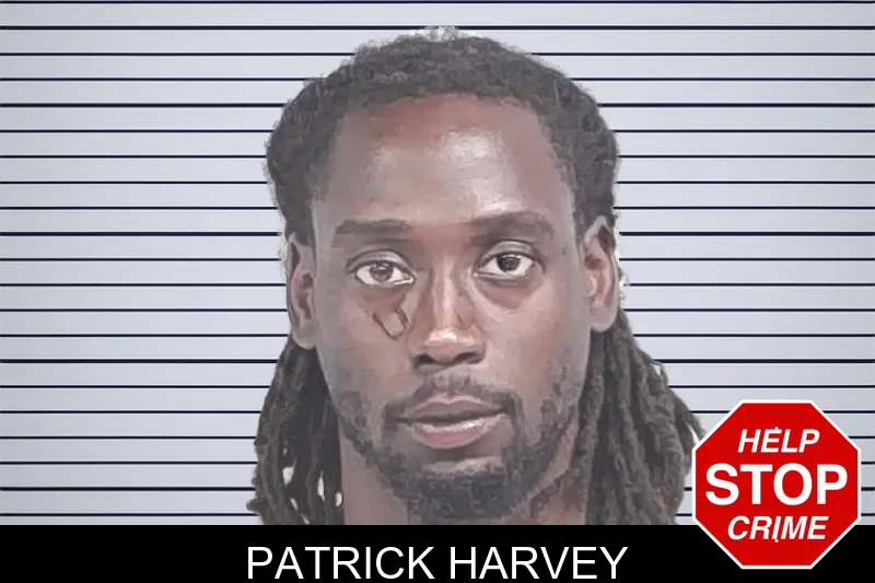 Patrick Harvey mugshot