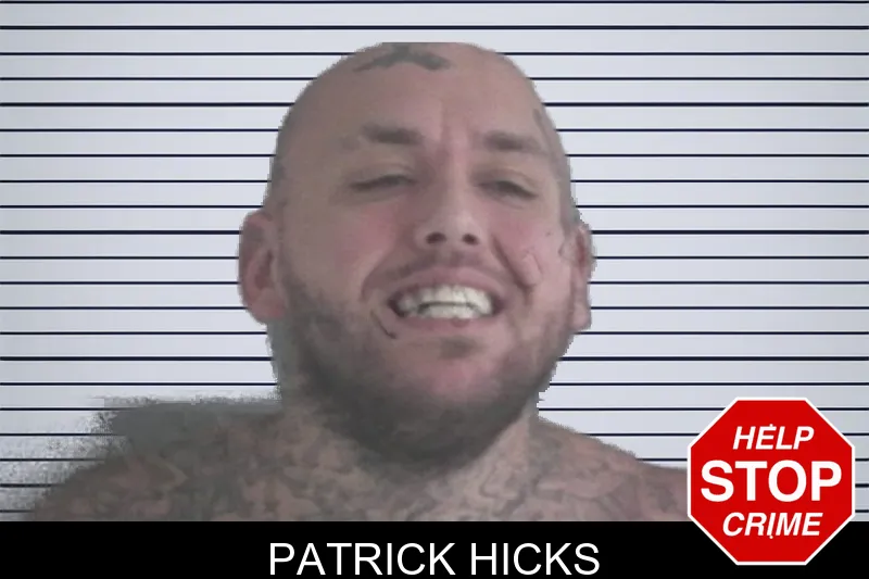 Patrick Hicks mugshot