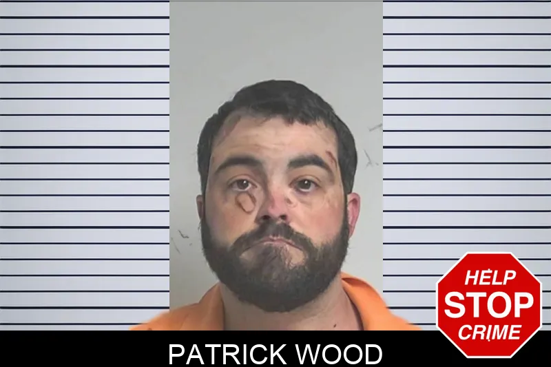 Patrick Wood mugshot – Berrien County , Georgia Patrick Wood mugshot