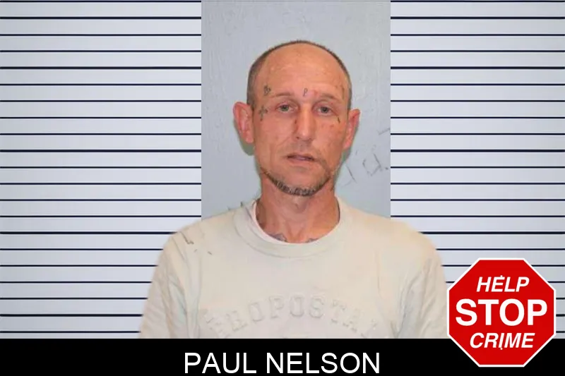 Paul Nelson mugshot