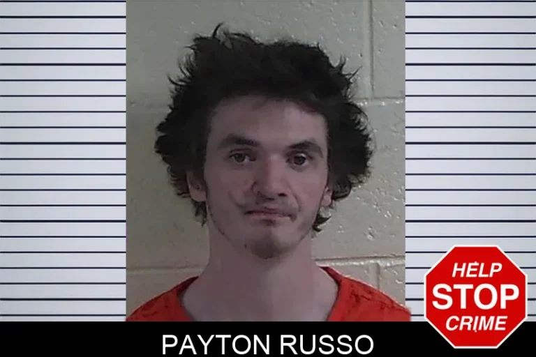 Payton Russo mugshot – Fannin County , Georgia Payton Russo