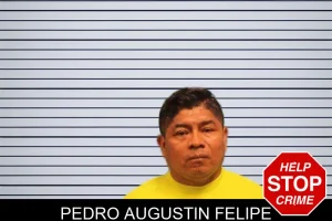 Pedro Augustin Felipe mugshot