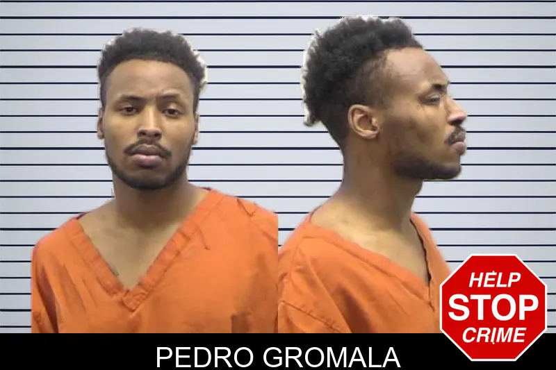 Pedro Gromala mugshot – Clarke County , Georgia Pedro Gromala mugshot
