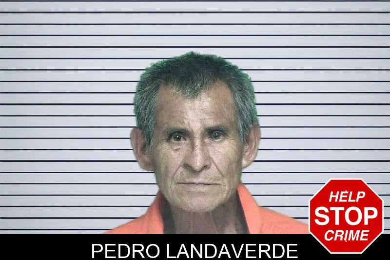 Pedro Landaverde mugshot