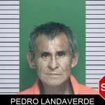 Pedro Landaverde mugshot