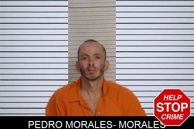 Pedro Morales- Morales mugshot