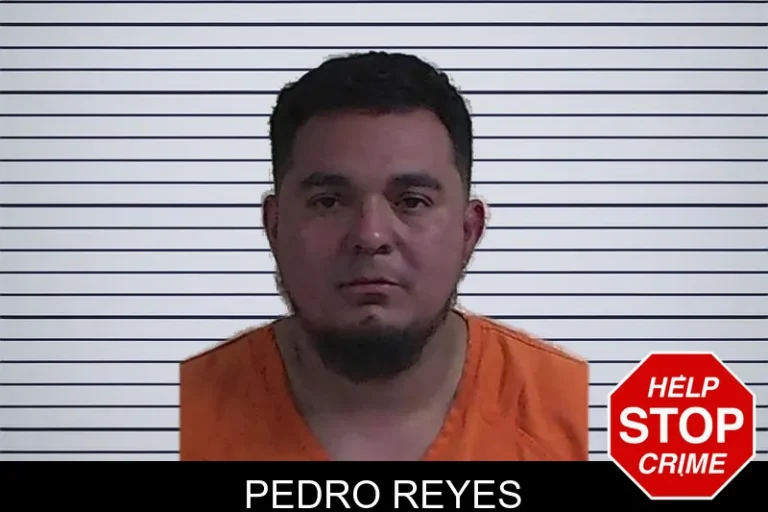 Pedro Reyes mugshot – Fannin County , Georgia Pedro Reyes