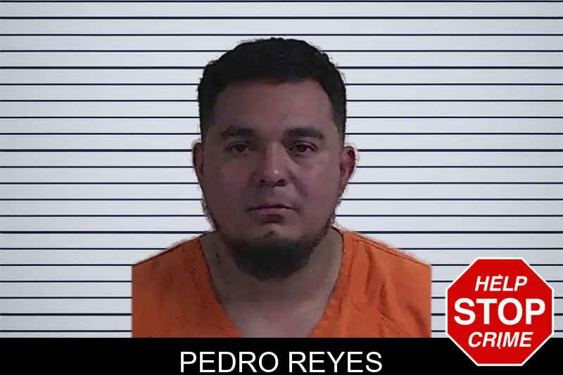 Pedro Reyes mugshot
