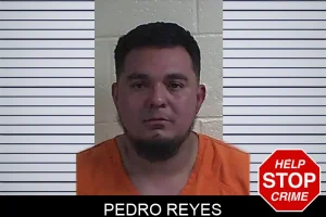 Pedro Reyes mugshot