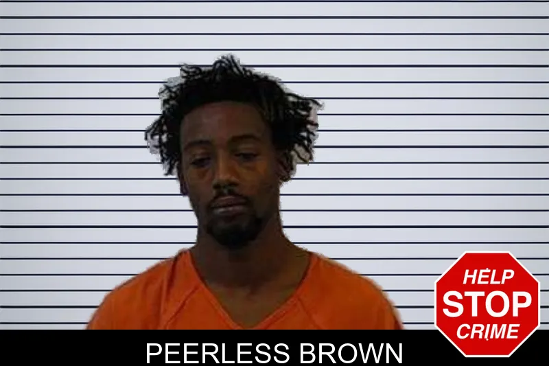 Peerless Brown mugshot – Polk County , Georgia Peerless Brown mugshot