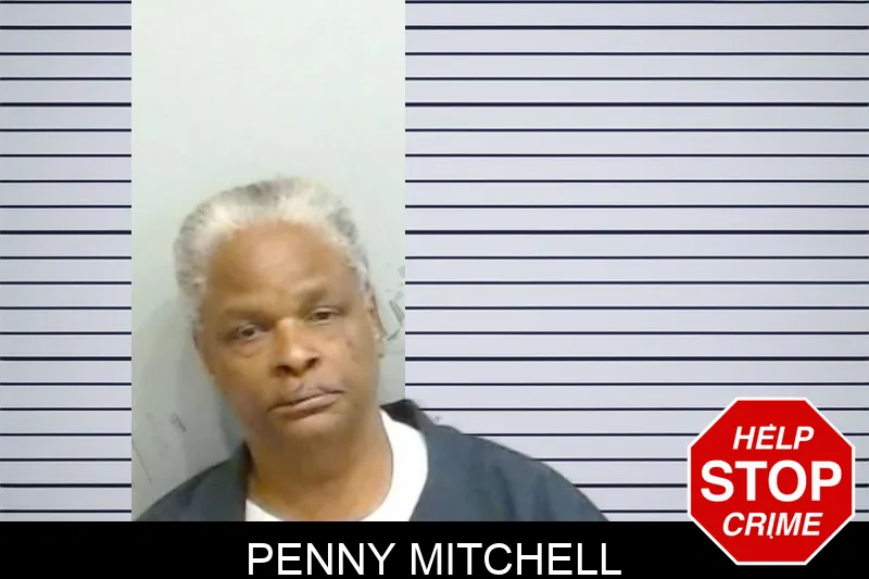 Penny Mitchell mugshot – Fulton County , Georgia Penny Mitchell mugshot