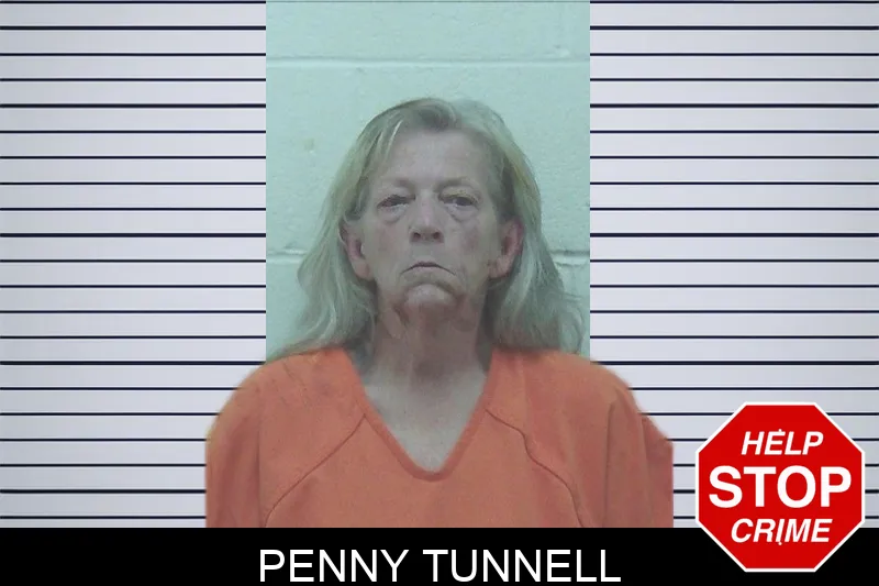 Penny Tunnell mugshot