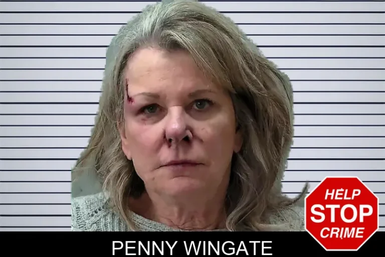 Penny Wingate mugshot – Towns County , Georgia Penny Wingate