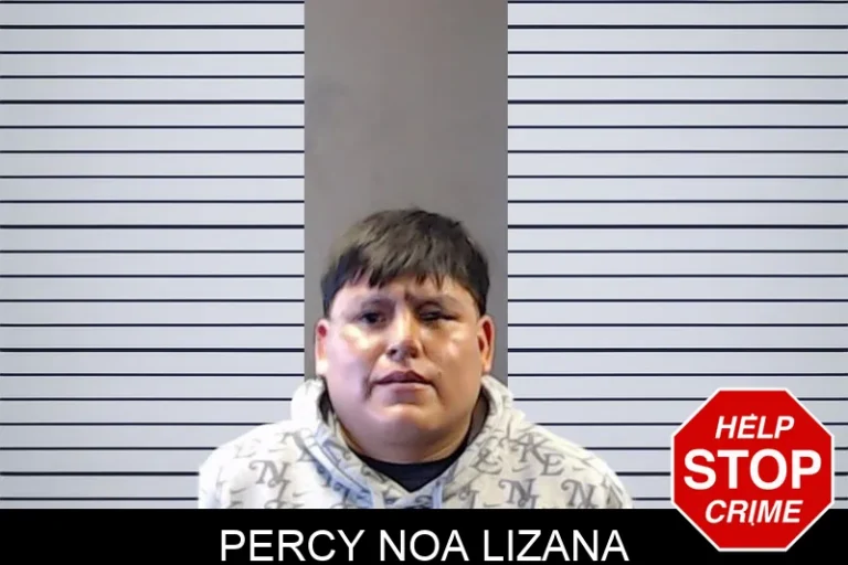 Percy Noa Lizana