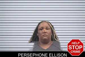 Persephone Ellison mugshot