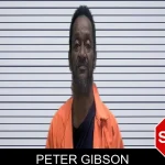 Peter Gibson mugshot