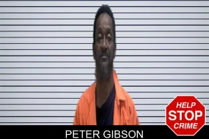 Peter Gibson mugshot